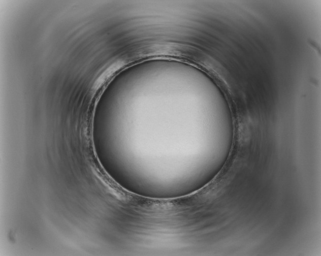 X0000099520882200805151522