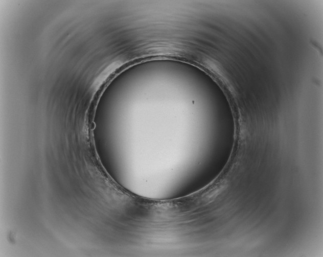 X0000099520883200805151522
