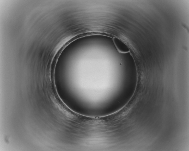 X0000099520884200805151522