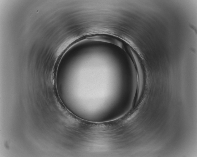 X0000099520885200805151522
