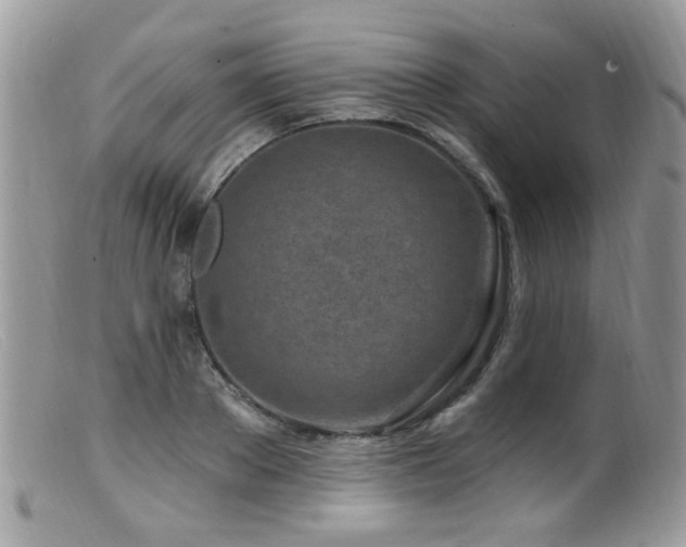 X0000099520889200805151521