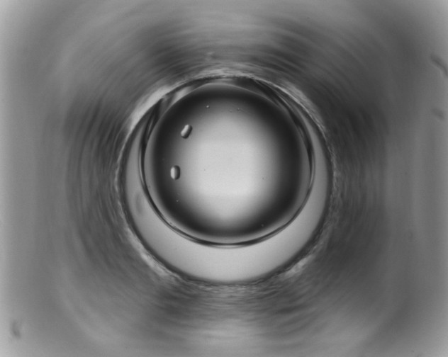 X0000099520893200805151521