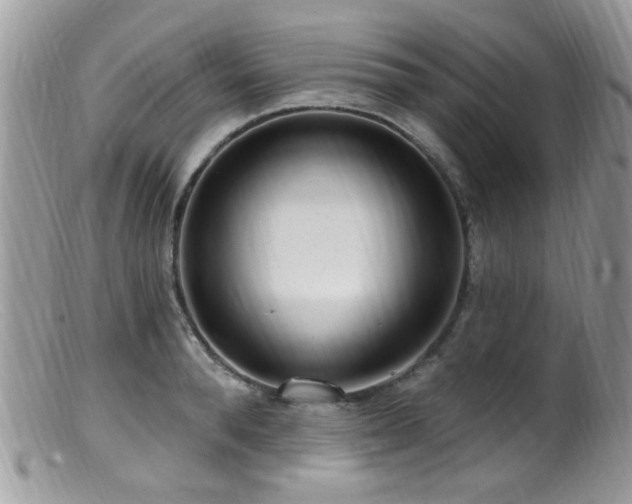 X0000099520896200805151521