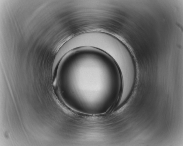 X0000099520897200805151521