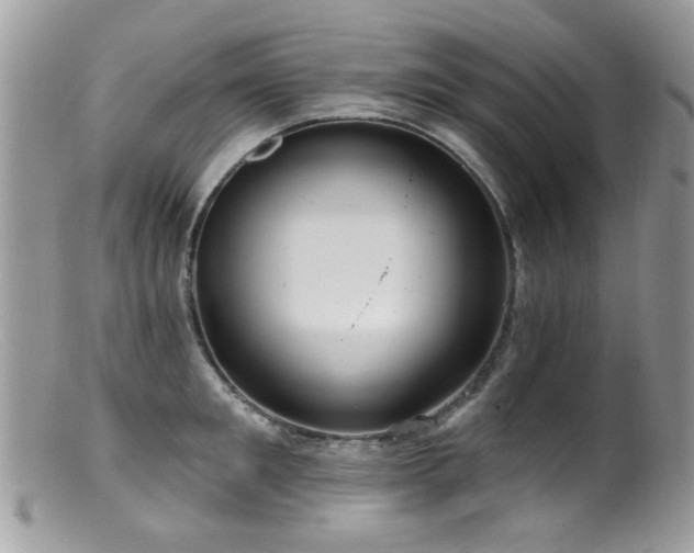 X0000099520901200805151521