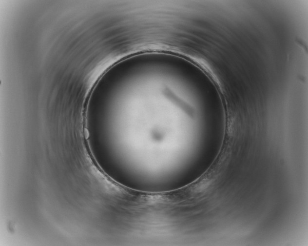 X0000099520903200805151521