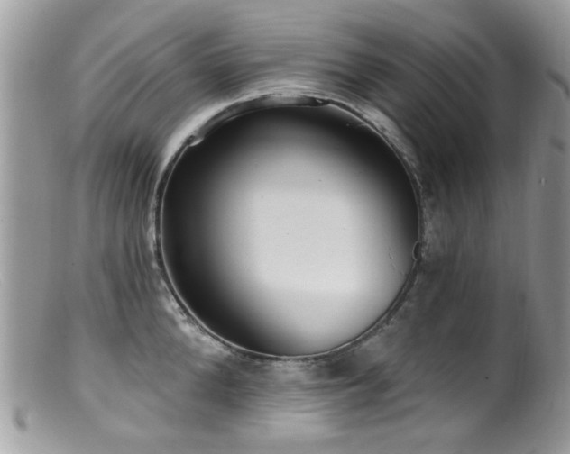 X0000099520904200805151521