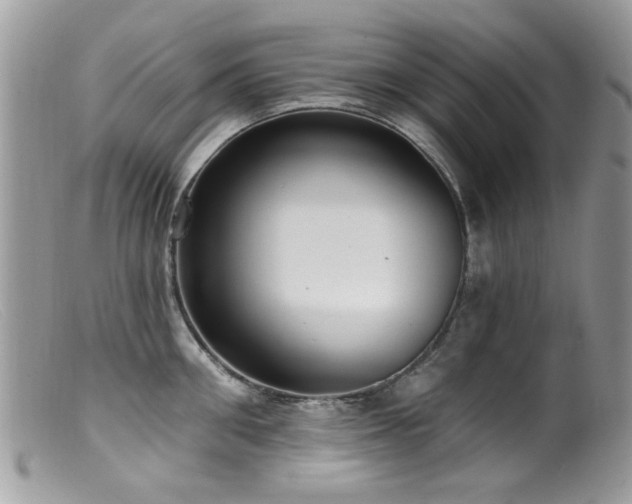 X0000099520906200805151521