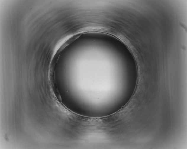 X0000099520912200805151521