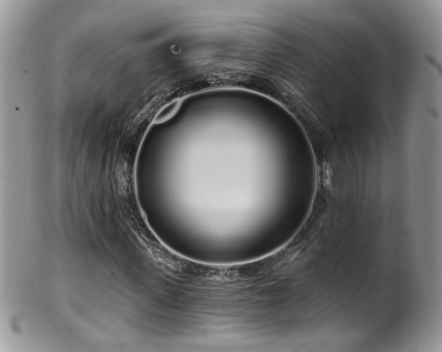 X0000099520915200805151520