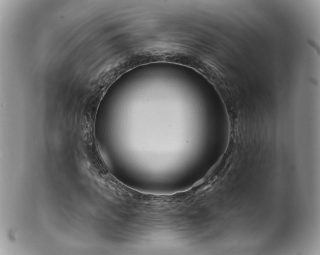 X0000099520917200805151520