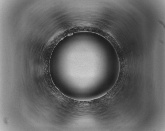 X0000099520919200805151520