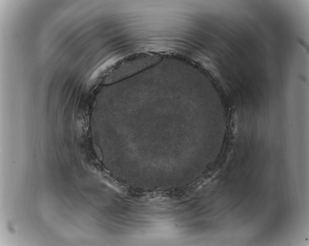 X0000099520920200805151520