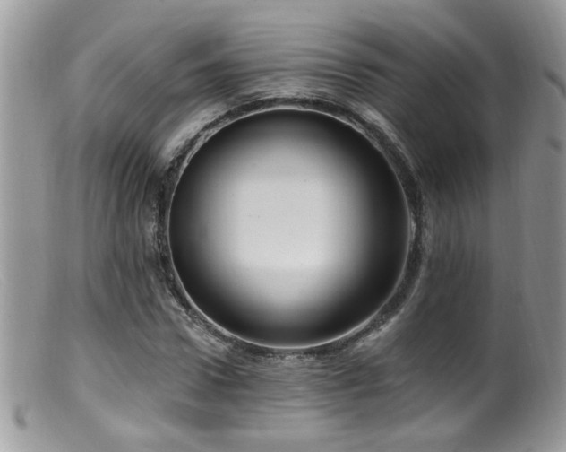 X0000099520922200805151520