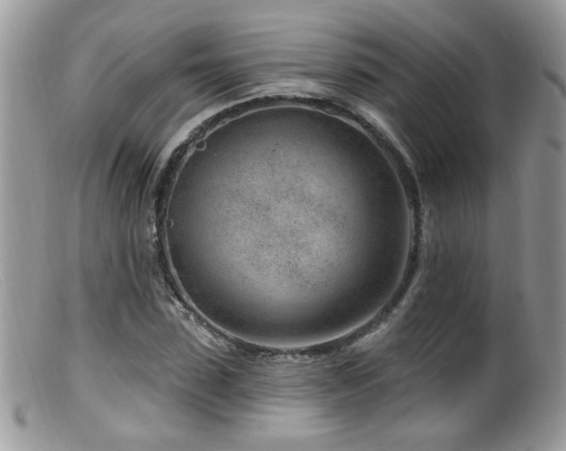 X0000099520923200805151520