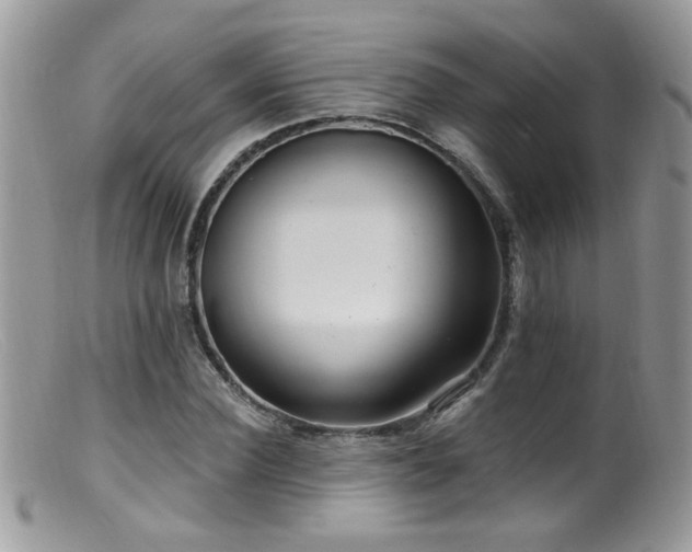 X0000099520924200805151520
