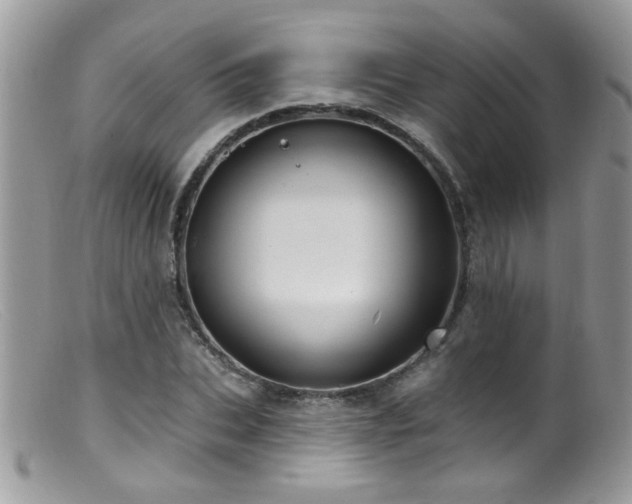 X0000099520927200805151521