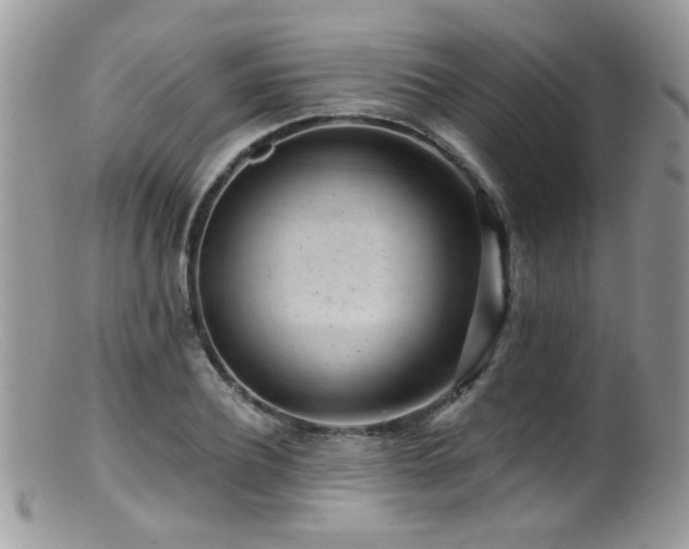 X0000099520932200805151521