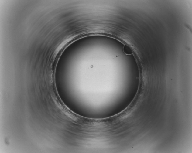X0000099520933200805151521