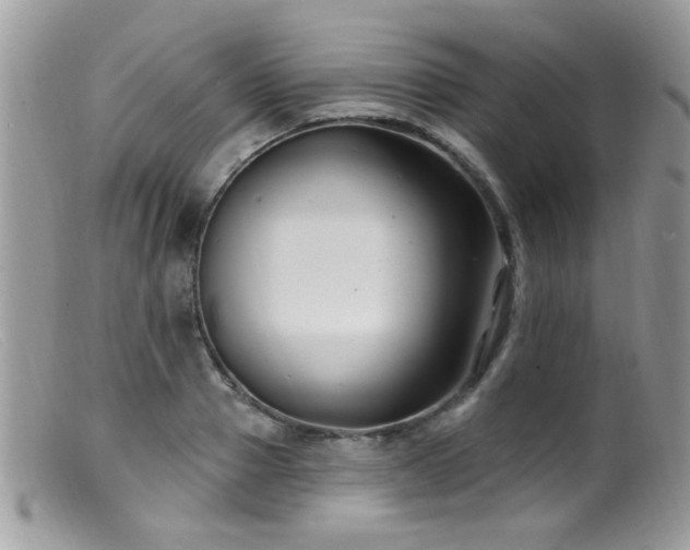 X0000099520937200805151521