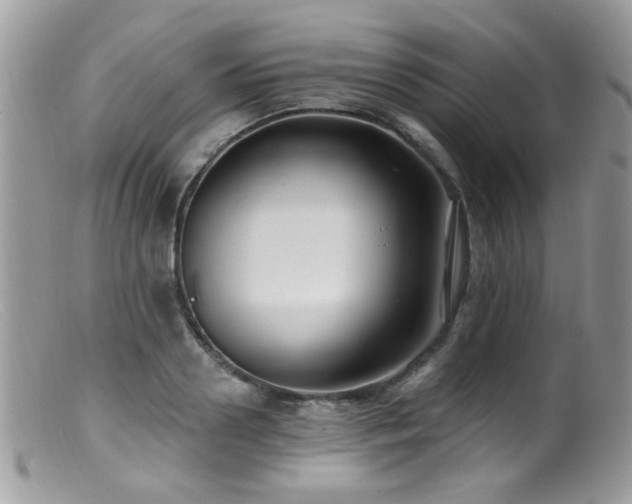 X0000099520938200805151521