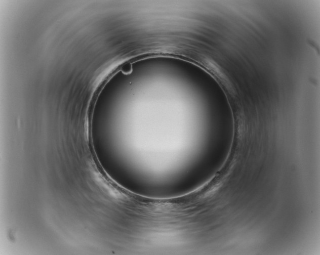 X0000099520940200805151521