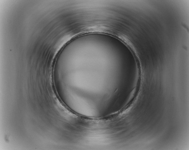 X0000099520941200805151521