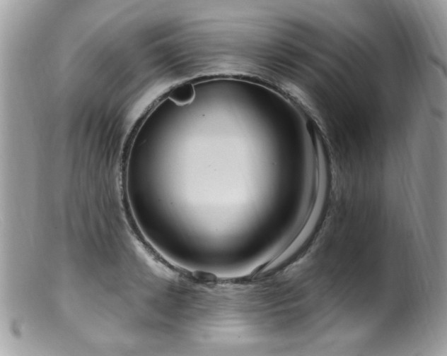 X0000099520942200805151521