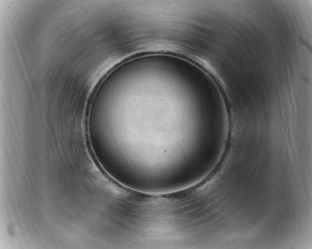 X0000099520943200805151521
