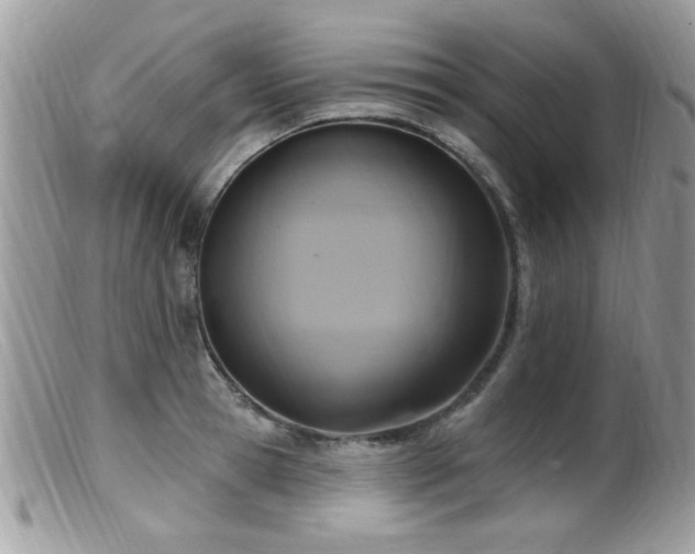 X0000099520945200805151521