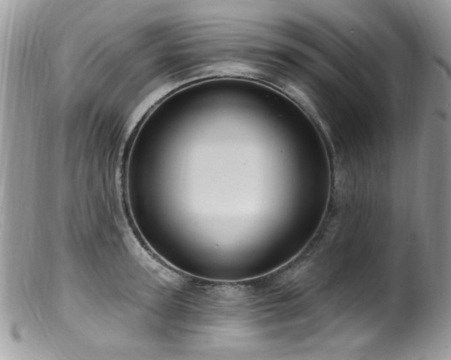 X0000099520947200805151521