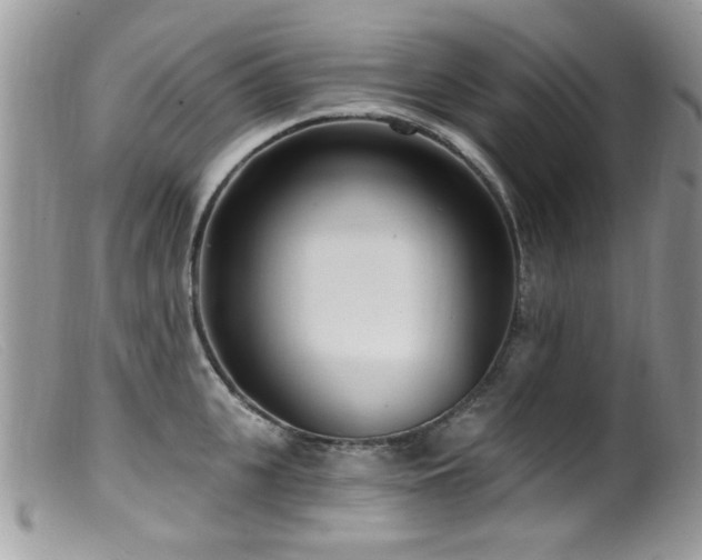 X0000099520951200805151521