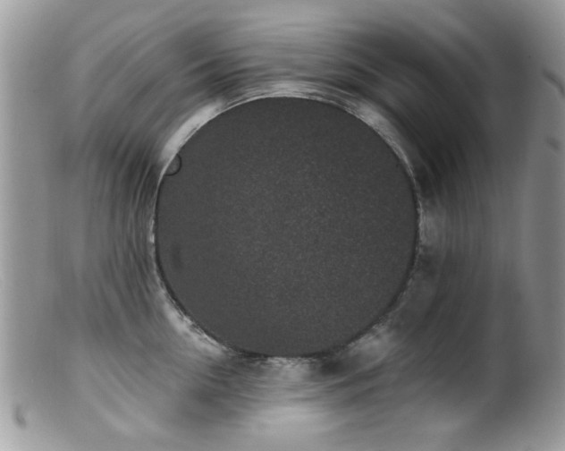 X0000099520954200805151521