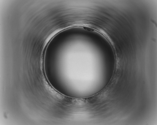 X0000099520955200805151521