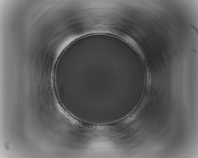 X0000099520958200805151521