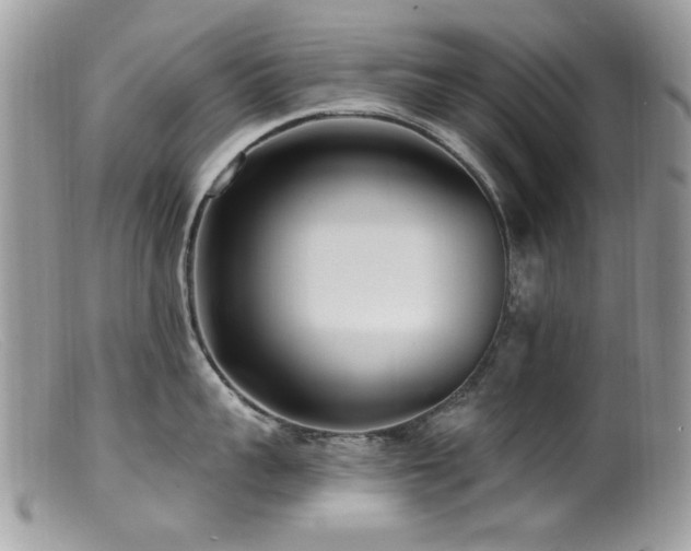 X0000099520959200805151521