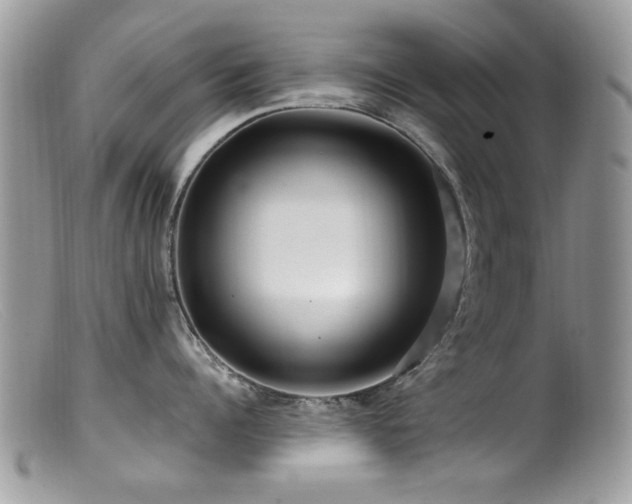 X0000099520960200805151521