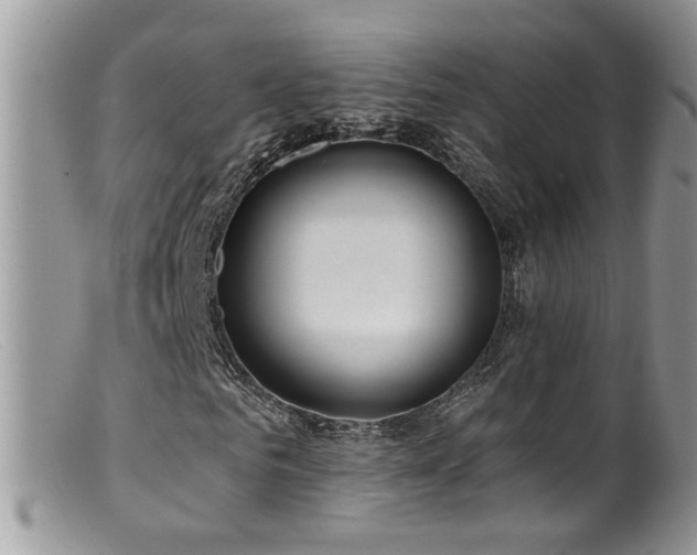 X0000099520961200805151520