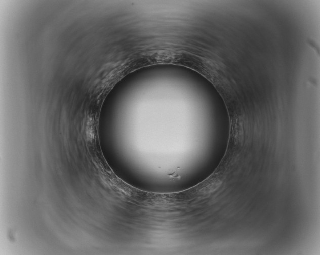X0000099520962200805151520