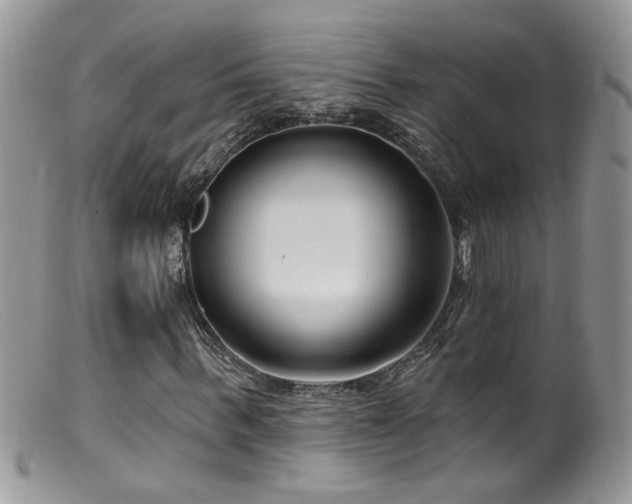 X0000099520963200805151520