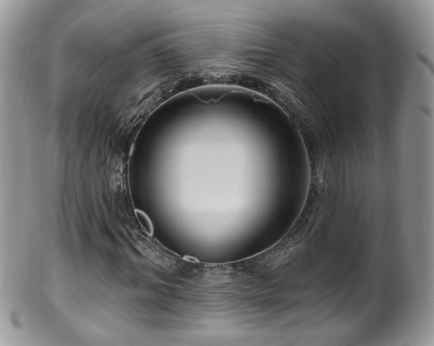 X0000099520964200805151520