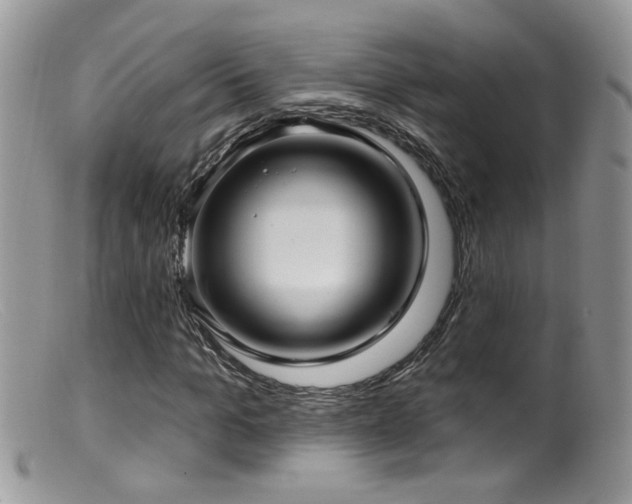 X0000099520965200805151520