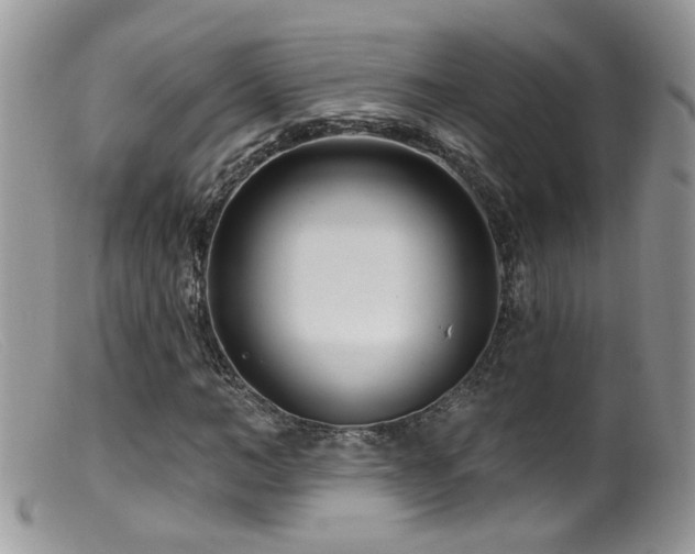 X0000099520966200805151520
