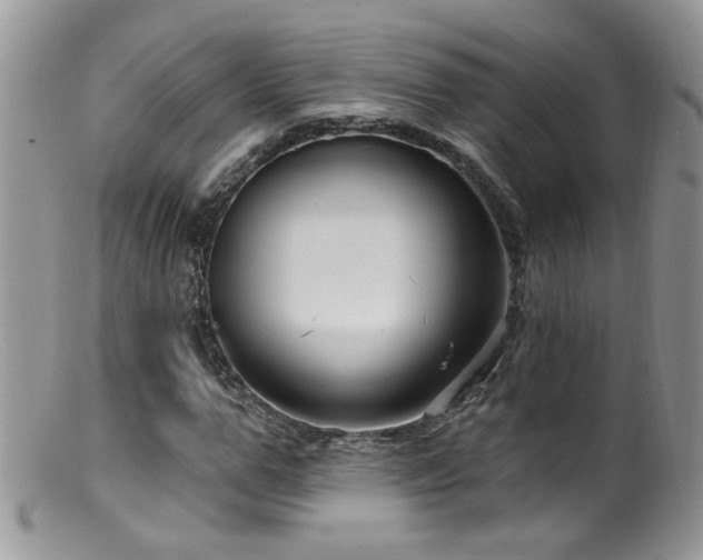 X0000099520967200805151520