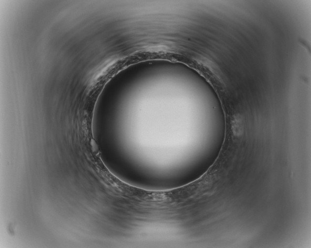 X0000099520968200805151520