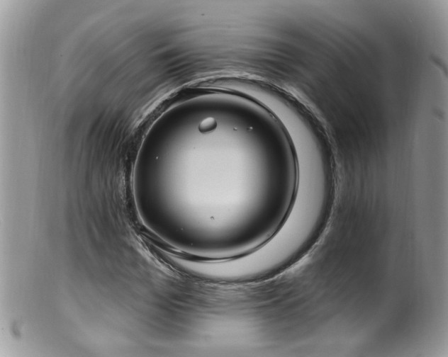 X0000099520969200805151520