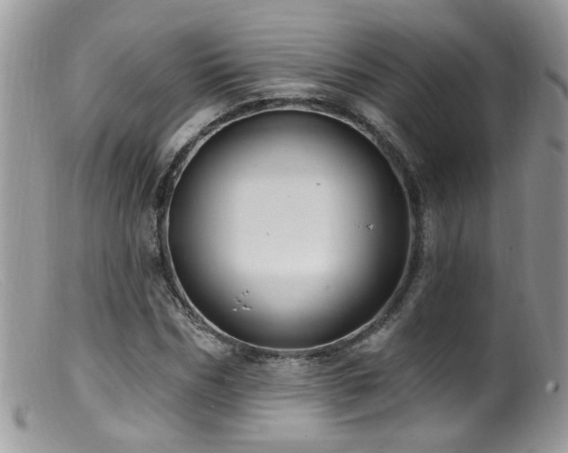 X0000099520970200805151520