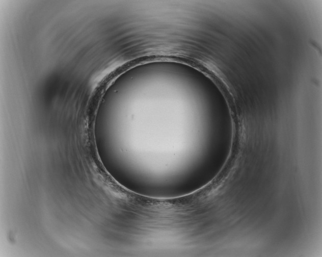 X0000099520971200805151520