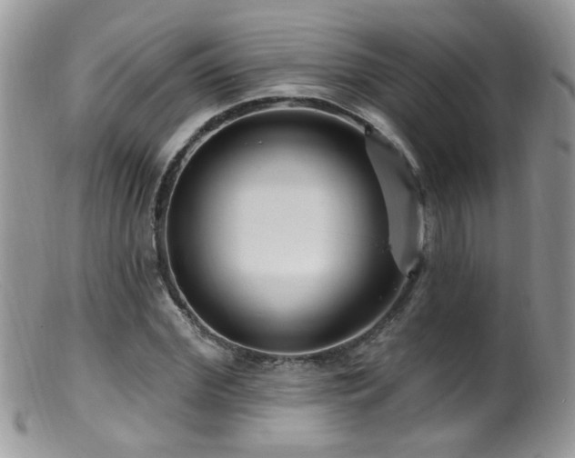 X0000099520972200805151520