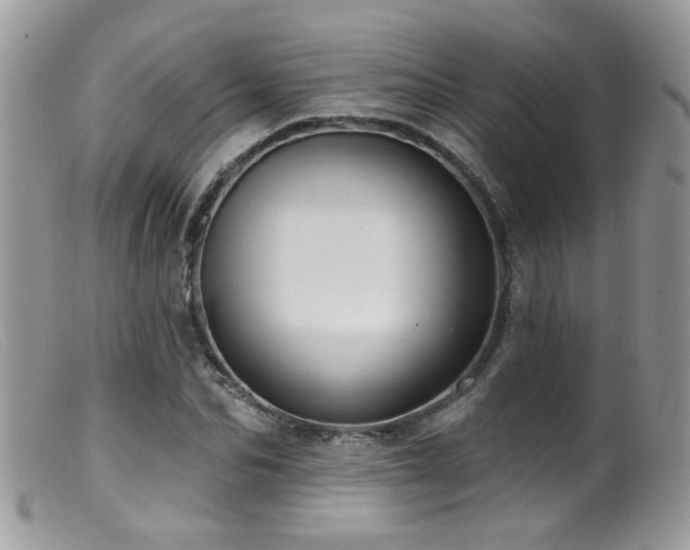 X0000099520974200805151520